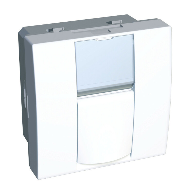 Лиц.плата Altira 2мод 1xKeystone RAL9003 | ALB44380 | Schneider Electric