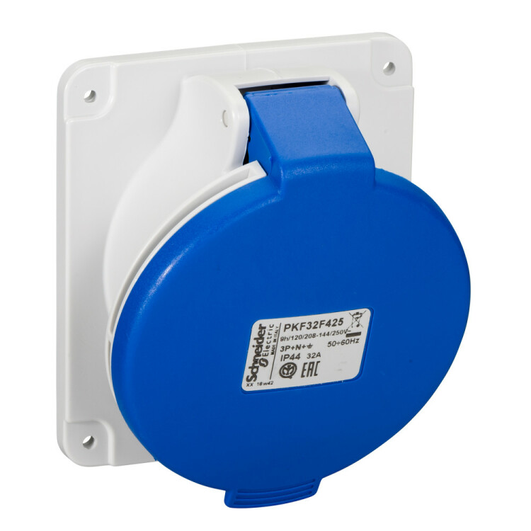 ПНЛ РОЗ УГЛ ВИНТ 32А 3P-N-E 200-250 IP67 | PKF32F425 | Schneider Electric