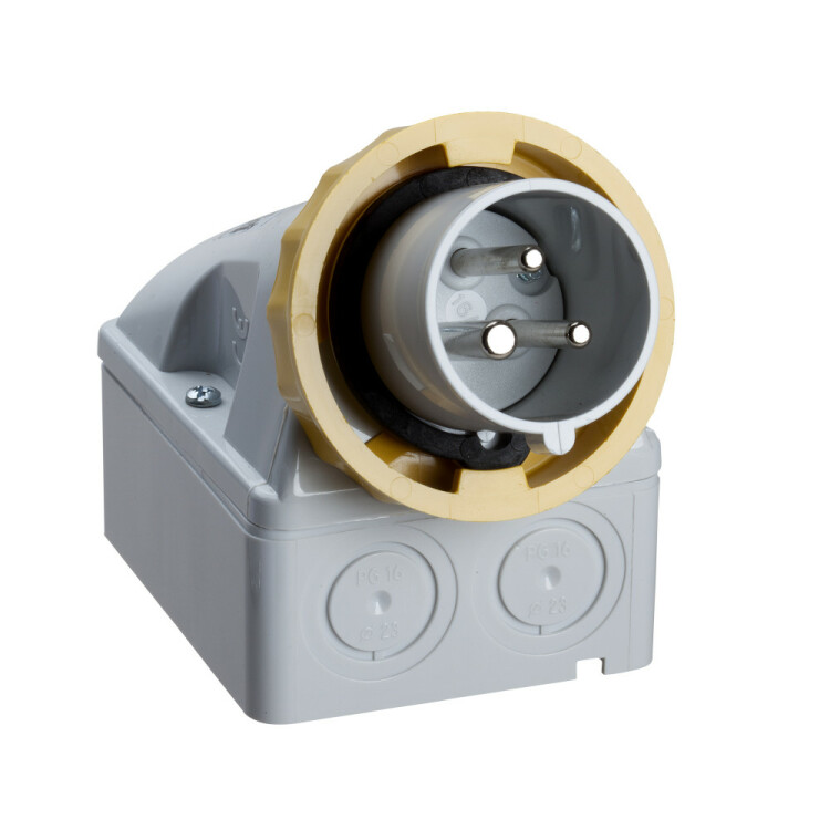 НАСТЕН ВИЛКА ВИНТ 32А 2P-E 100-130 IP67 | 83563 | Schneider Electric