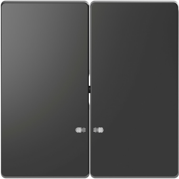 D-Life КЛАВИША 2-ная с линзой для LED модуля, АНТРАЦИТ , SD | MTN3420-6034 | Schneider Electric